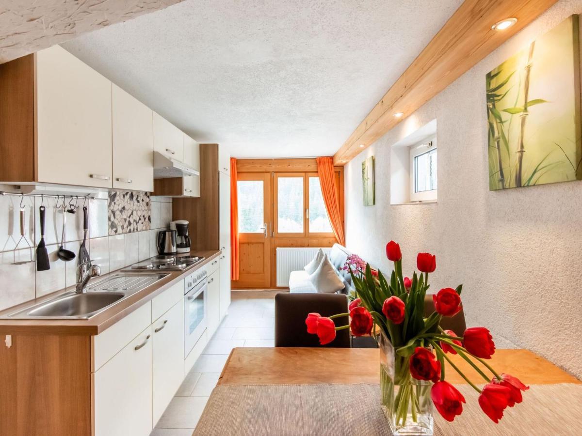 Apartment In The Silvretta-Montafon Ski Area Sankt Gallenkirch Kültér fotó